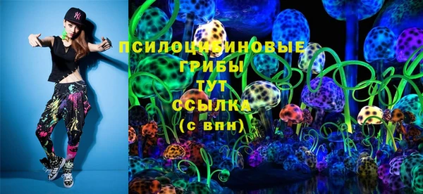 ГАЛЛЮЦИНОГЕННЫЕ ГРИБЫ Красноперекопск