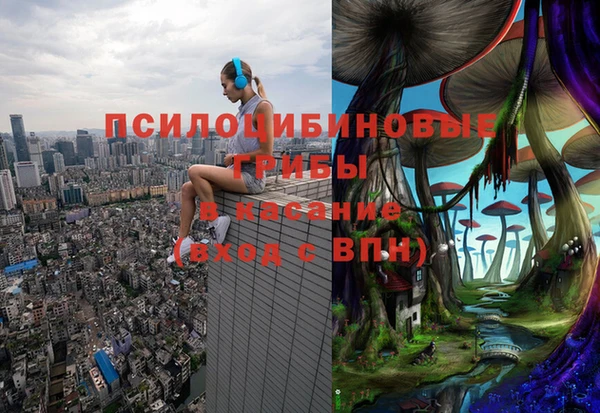 прущие грибы Краснослободск