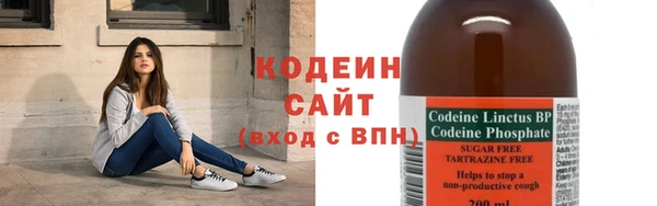 прущие грибы Краснослободск