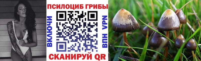 Псилоцибиновые грибы Magic Shrooms  Урус-Мартан 