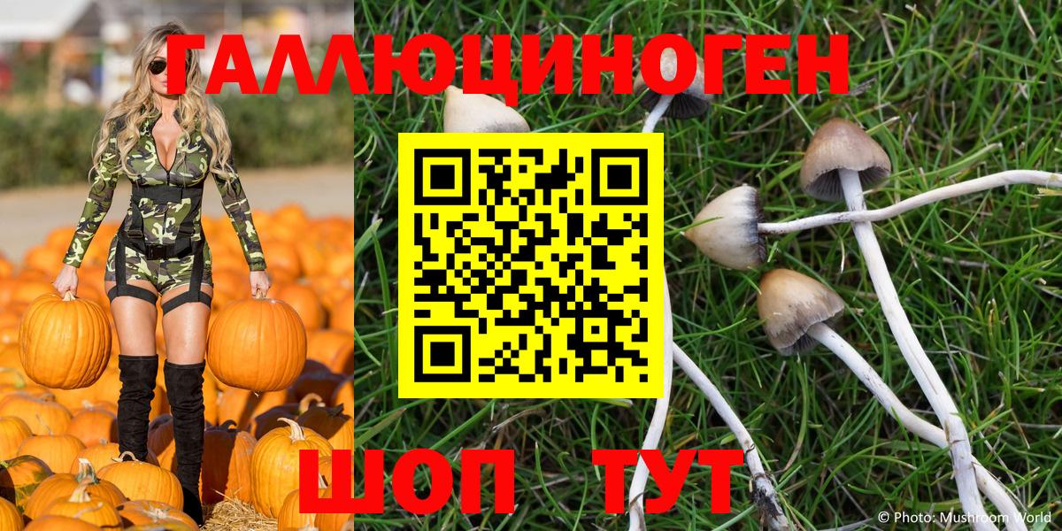 Галлюциногенные грибы ЛСД Урус-Мартан